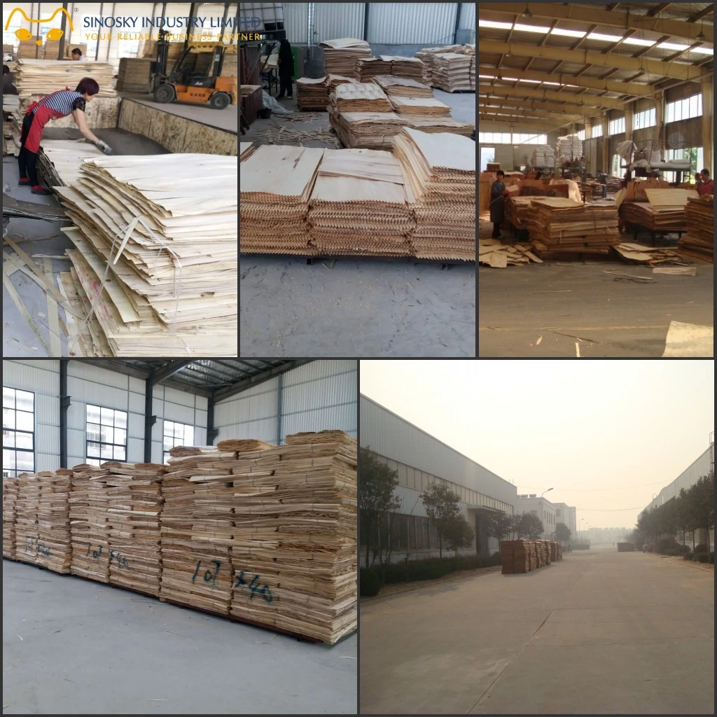 Linyi Factory Supply 0.5mm 0.6mm 0.7mm 0.8mm 0.9mm 1mm 1.2mm Fireproof HPL Melamine Laminate Sheet Plywood