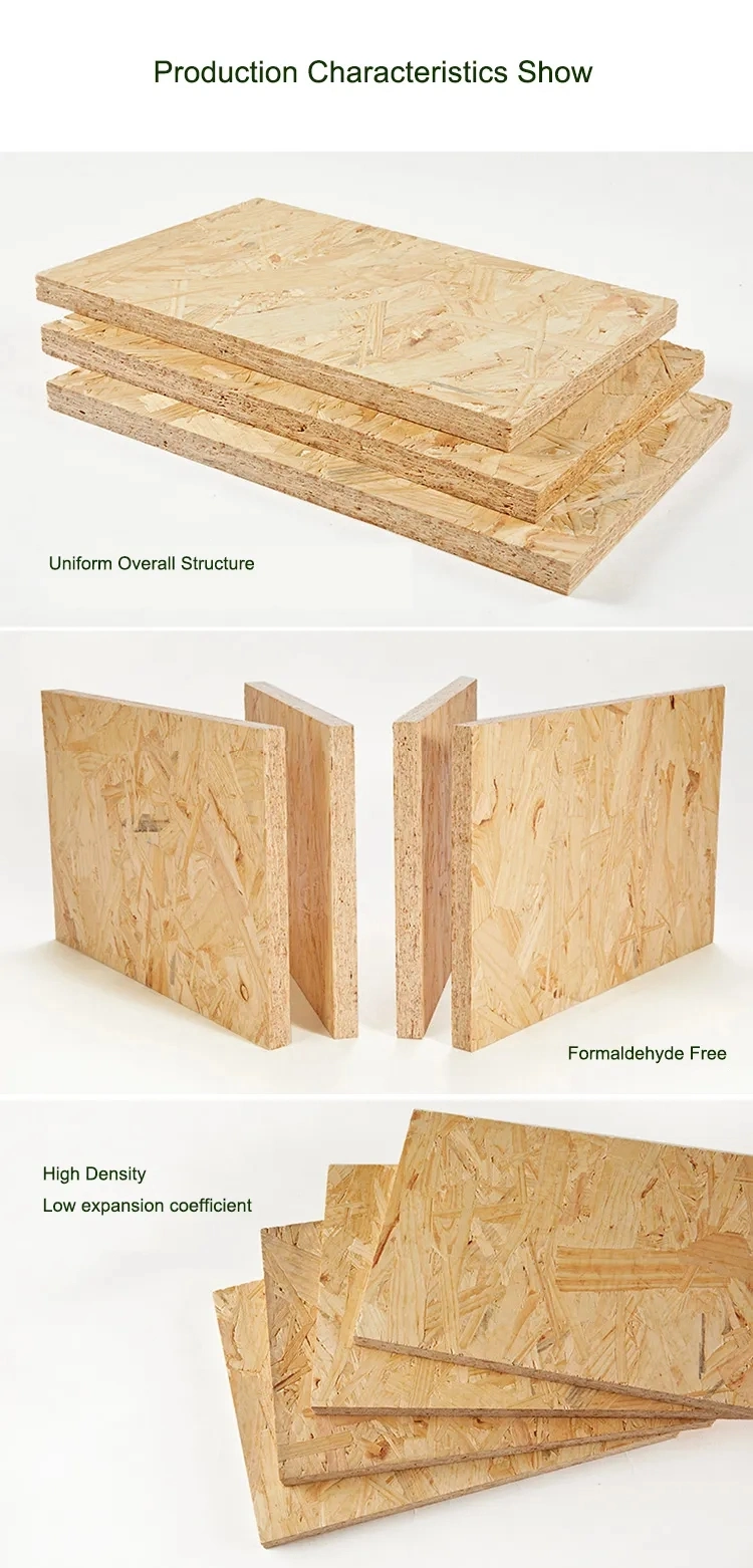 10mm 12mm 16mm 18mm Cheap Price Waterproof Wholesale Plywood OSB 3 Board 4X8 for Building Floor