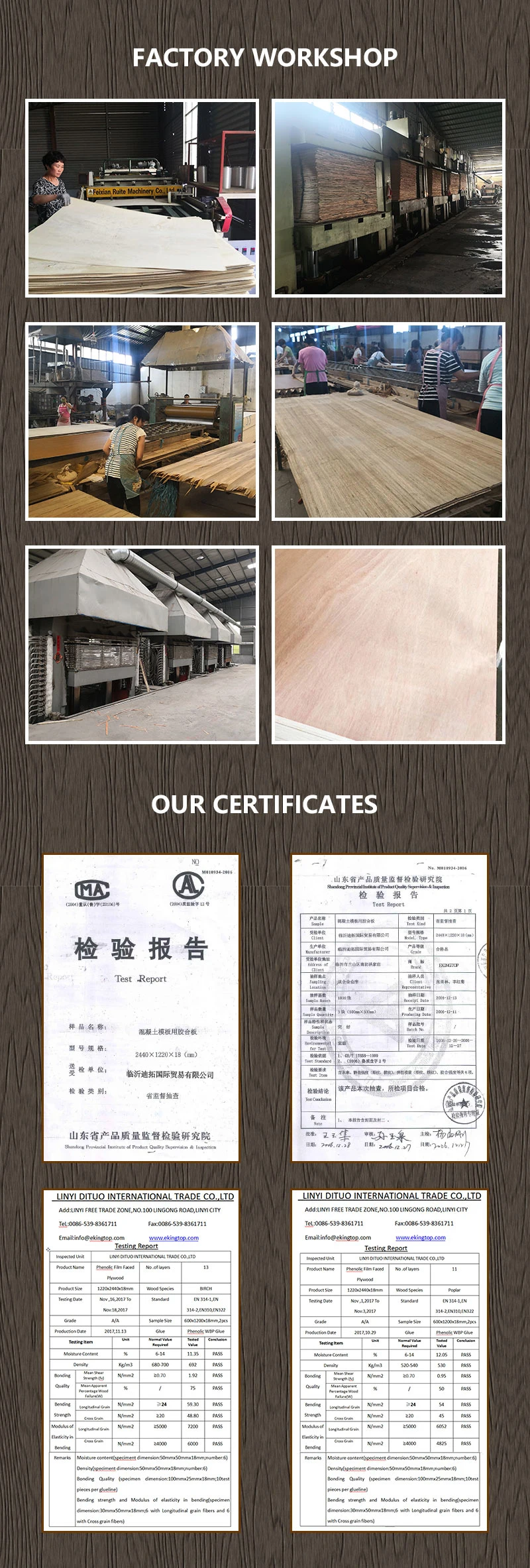 High Quality China Pine Plywood, Okoume, Bintangor, Birch, Commercial Plywood