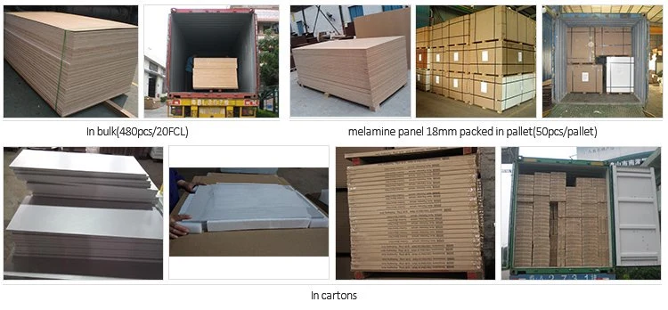 High Quality Film Faced Plywood for Construction