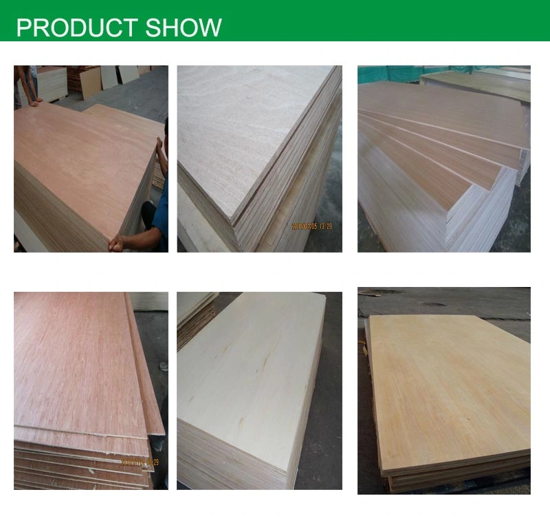 Cheap Price Commercial Plywood with Okoume, Bintangor, Red Pencil, Maple, Birch, Teak, Chinese Ash etc.