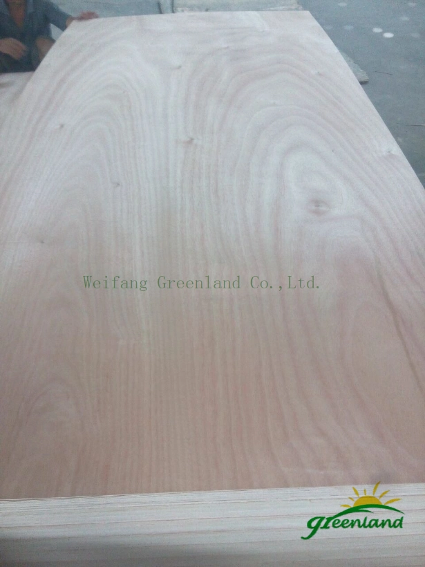 Good Quality Poplar Core Commercial Plywood for High Grade Furniture Produce