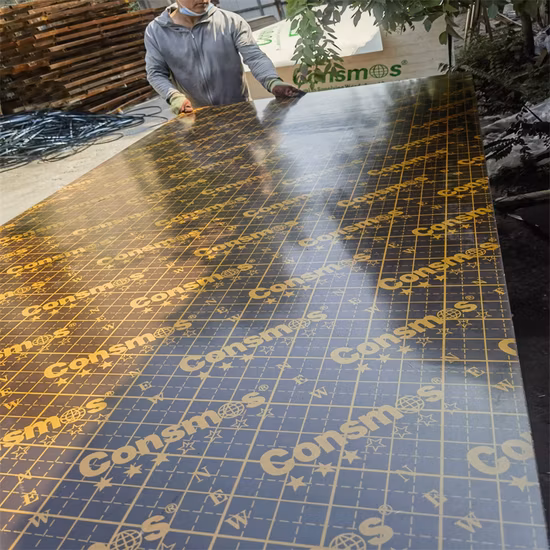 18mm film noir/marron face contreplaqué matériaux de construction noyau de peuplier construction contreplaqué marin